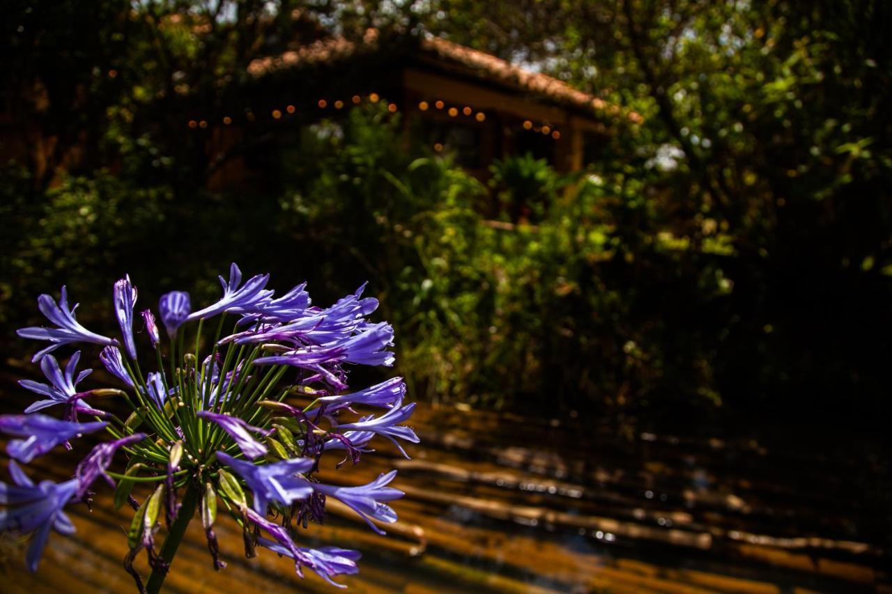 Clavellino House En Villa De Leyva - Tranquilidad Y Naturaleza En Reserva Natural Urbana! Exterior photo